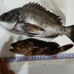 えっ?アンタが来たの?