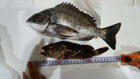 えっ?アンタが来たの?