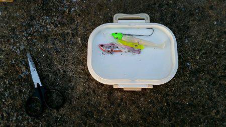 タチナブラ攻略成功。ジャスト1mのドラゴン捕獲。