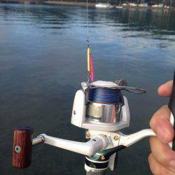 出勤前になんじゃこりゃ！