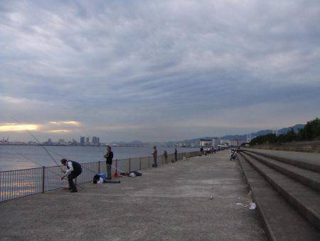 嫁さんのお供でサヨリ