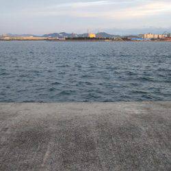 姫路にもようやく、タッチーきてます。