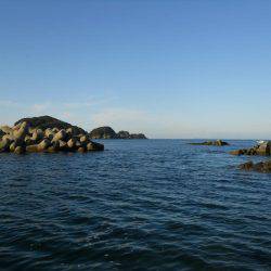 磯でアオリイカのヤエン釣り