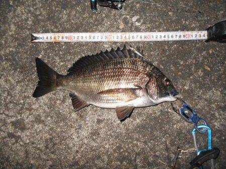 メタルバイブでシーバス♪