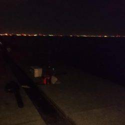 戻ってきたかな？