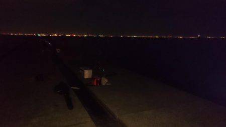 戻ってきたかな？