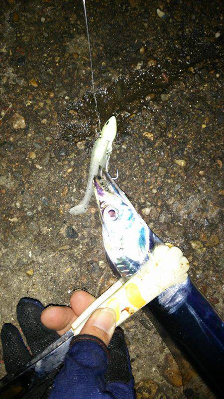 久しぶりにホームで