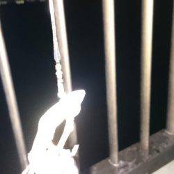 エギングのつもりが