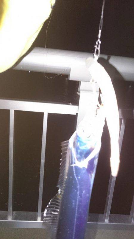 ファミリー刀狩り