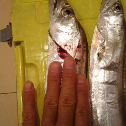 岩屋～おのころ裏