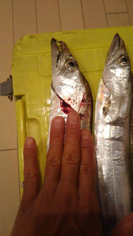 岩屋～おのころ裏