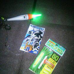 堺 石津タチウオ