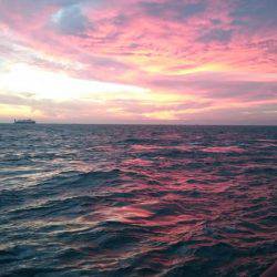 今日もバラシ(T-T)