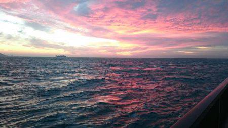 今日もバラシ(T-T)