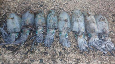 久しぶりの土曜日休み