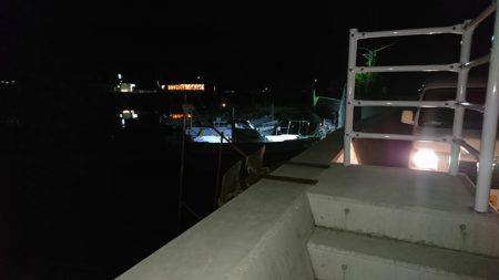 初ボートエギング