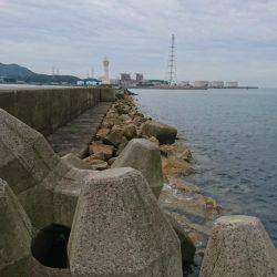 サイトエギング