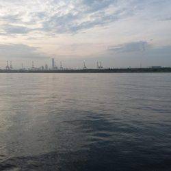 太刀魚×サバ◎