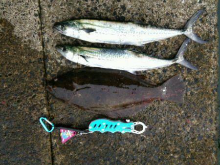 スーパーライトショアジギング