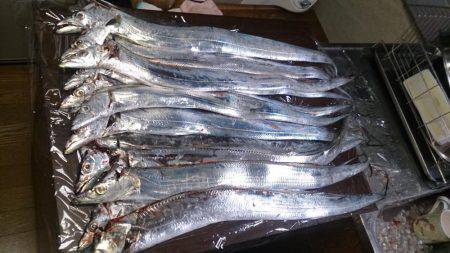 渋いながらもバクチョウ