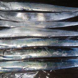 渋いけど安定サンマ