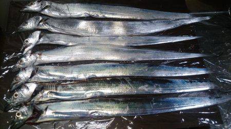 渋いけど安定サンマ