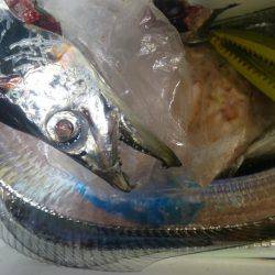 ガツンと来ない