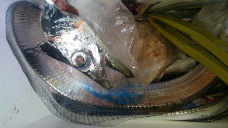 ガツンと来ない