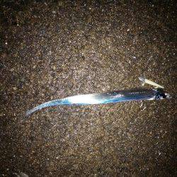 大蔵海岸でタチウオワインド