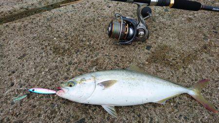 リベンジ達成！