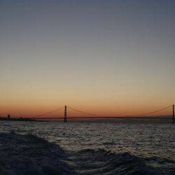 明石魚英でジギング