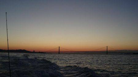 明石魚英でジギング