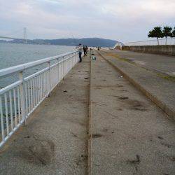 大蔵海岸でエギング