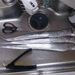 インターナショナルポイント