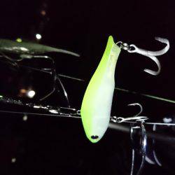 貸し切り太刀魚❕