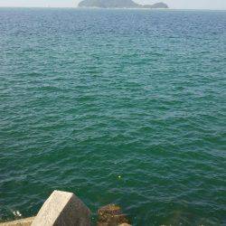 やっぱり人が少ないと釣れます❗