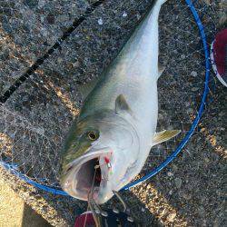 なめたらあかん♪