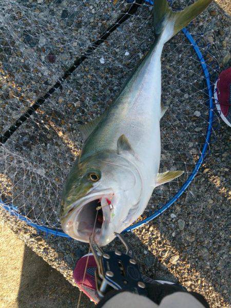 なめたらあかん♪