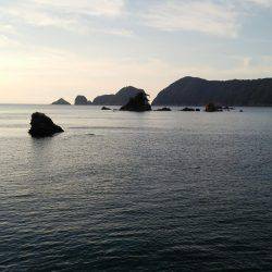 なかなかえぇサイズに