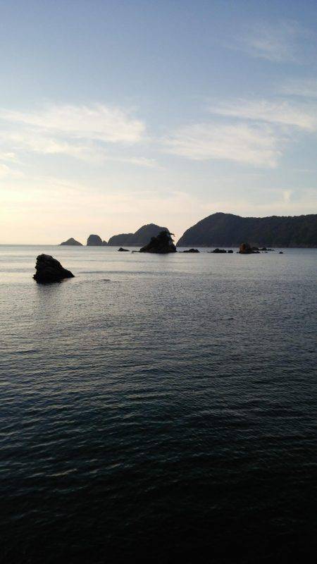 なかなかえぇサイズに