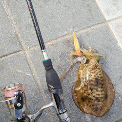 ポケモンGoの人々だらけ