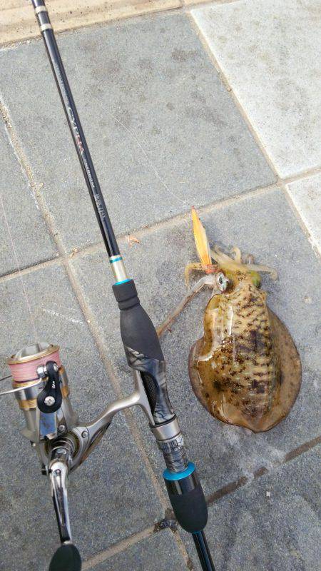 ポケモンGoの人々だらけ