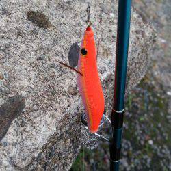 あまりの引きに無名の餌木竿が…