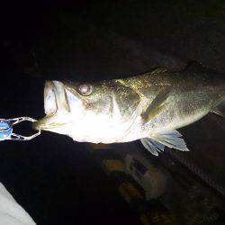 夕方は少し混みます