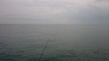 夕方は少し混みます