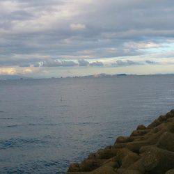 よく釣れてくれました