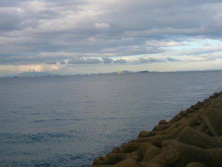 よく釣れてくれました