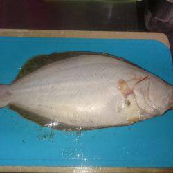 アングラーは僕達だけ！