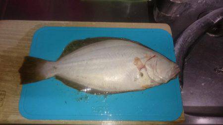 アングラーは僕達だけ！