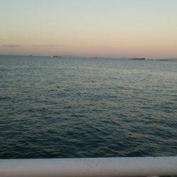 ドラゴンを求めて その2